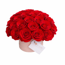 Box Cilindro de Rosas Rojas