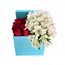 Box Tiffa 6 Rosas y Alstroemerias