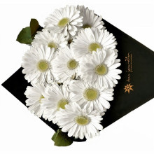 Cono de Gerberas por 12