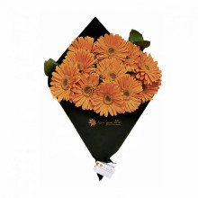 Cono de Gerberas por 12