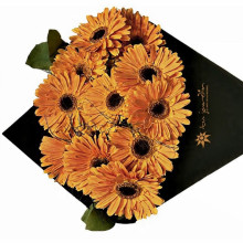 Cono de Gerberas por 12