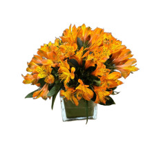 Cubo de Flores  Amarillas