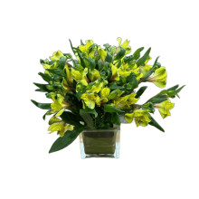 Cubo de Flores  Amarillas